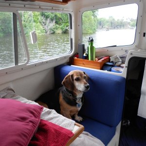 Media 'Monty on Watch' in album 'Carpy at Sanford Boat Works'
