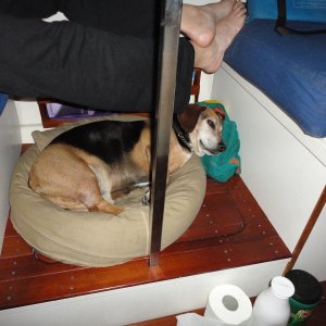 DSC00790