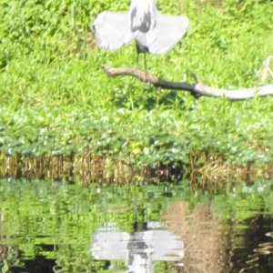 Media 'DSC00808 (2)' in album 'Carpy at Sanford Boat Works'