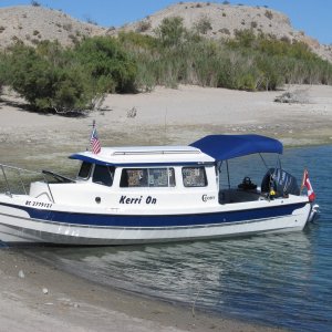 Ashore at Lake Mohave, just a half mile from Cottonwood cove launch ramp That bird on the rail raided inside.  Found evidence of his visit but nothing swiped
