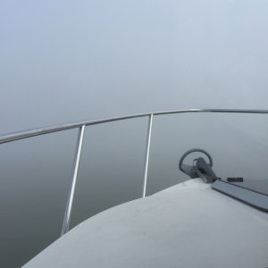 Media 'Foggy morning!' in album 'Leaving the fog behind'