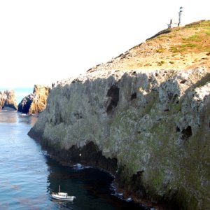 Looking over the anchorage from above the landing toward the light house.  If you look at the cliff carefully you'll see it's loaded with gulls.