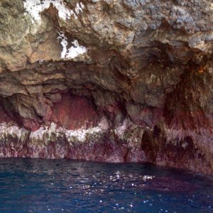 Sea cave in Landing Cove.  This one goes in about 30 feet as it curves.