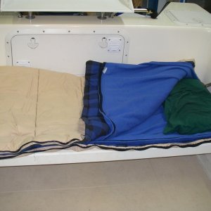 cockpit fold out bed