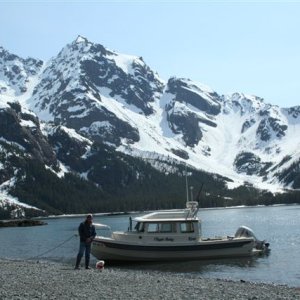 Media 'Thumb Cove, Resurrection Bay' in album 'Passage Canal, Prince William Sound'