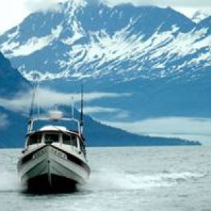 This picture started it all. Don't know who's C-Dory this is but it sold us, ...... thanks.
