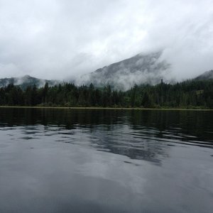 Down the inlet