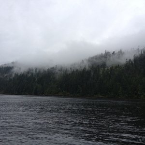 Enjoying the scenery