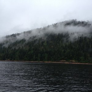 IMG 0861