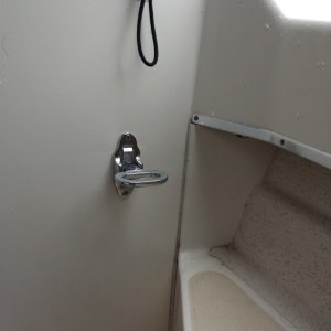 Suction cup holders.. many uses
