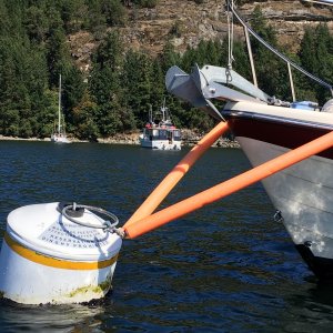 I have a latch connecting to the mooring ring. The latch came from a winch strap that I had replaced on the trailer. If so desired I can simply loop the latch thru the ring and attach it back on the noodle lines (depending on the nature of the mooring attachment).