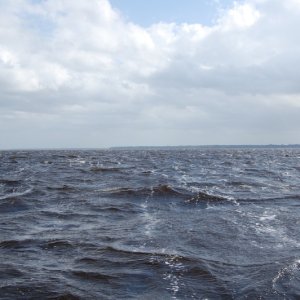 Media 'Saint Johns with a North Easter developing waves built to 2 to 3 feet St Johns is pretty shallow and builds up a chop pretty fast' in album 'Six Mile Creek North part of Saint Johns east side of river'