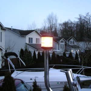 The old bulb