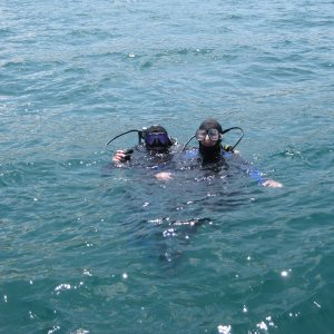 Media 'Dive, Blacks Reef' in album 'Scripps Pier'