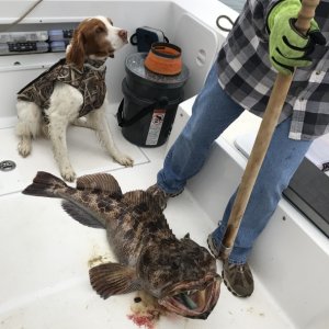1st ocean trip out of Cresent City