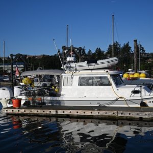 RZ6 0355