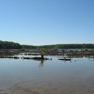 Media 'Sunken Fleet of Mallow's Bay
Skeletal remains of approx 70 WWI era steamships.
Ordered by the navy, completed after the war, never used, towed here, and burnt.' in album 'St Clements Island'