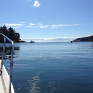 Media 'Heading out of Pedder Bay' in album 'Heading to Victoria'