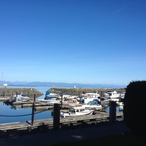 Media 'Salmon Point Marina Campbell River' in album 'Heading to Victoria'