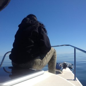 Media 'Wife watching some whales off of Quadra Island' in album 'Heading to Victoria'