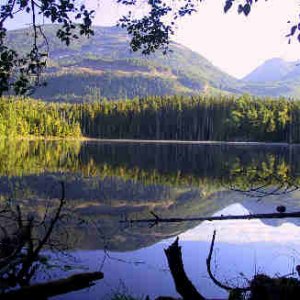Brown Lake1.jpg