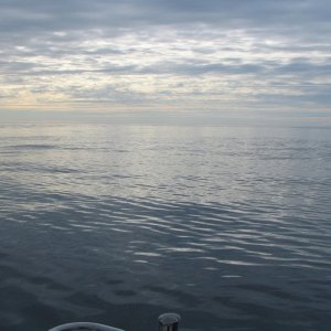 Media 'Flat August ocean' in album '50 inch sturgeon.JPG'