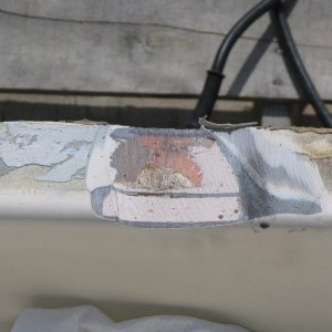 Media 'no fiberglass mat used to rebuild cap' in album '50 inch sturgeon.JPG'