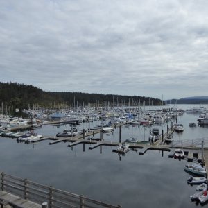 View of Friday Harbor from the Marina Office