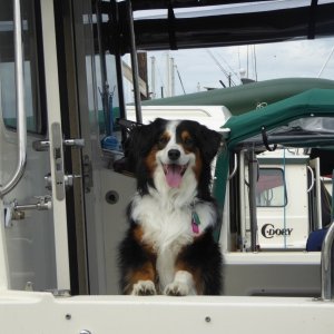 Offleash is my neighbor on the starboard side