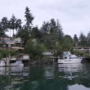 Waterfront homes in Friday Harbor