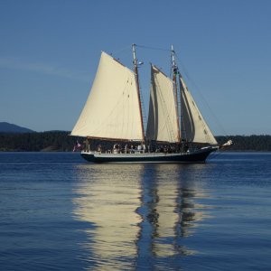 Commercial sailing tour