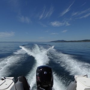 Media 'Moving on southward toward Cattle point' in album 'Departing Turn Island Friday Morning for Friday Harbor, 25 minutes away at this speed.'