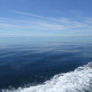 Looking out at the Strait and Peninsula
