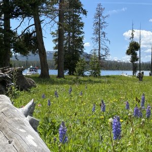 Eagle Bay backcountry campsite