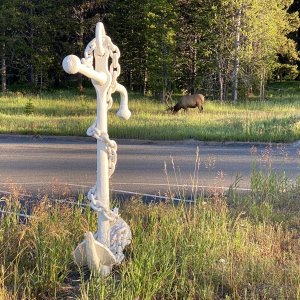 Anchor & elk not a bad combination