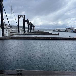 Friday Harbor guest docks.  EMPTY.