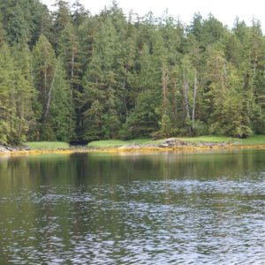 038 Farrant Island
 Cove -0182
