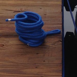 Cobra