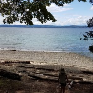 Beach in Powell River

We covered 240 water miles on this trip from Comox to Powell River then up north in the Discovery/Desolation areas.