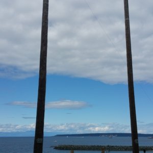 Logging festival