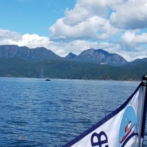 Near entrance to Von donop Inlet