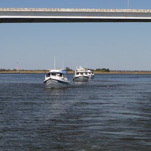 IMG 3247