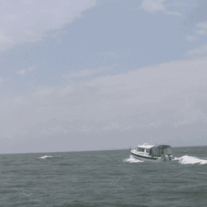 Sea Angel heading for Lankford Gathering