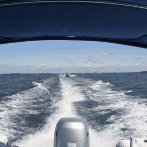 Media 'ALMA\'S ONLY leading the parade' in album 'Sea Angel heading for Lankford Gathering'