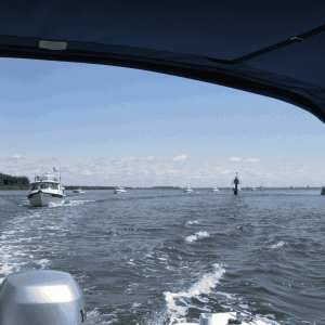 Media 'ALMA\'S ONLY parade enters the Kent Narrows' in album 'Sea Angel heading for Lankford Gathering'