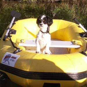 Captain Baxter - Priest Lake - 8-22-07