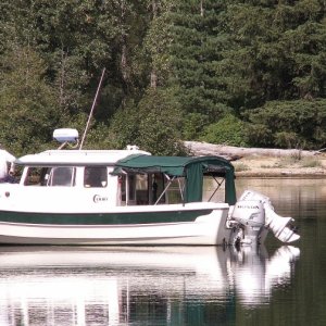 Halcyon and Moose - Upper Priest Lake - 8-21-07