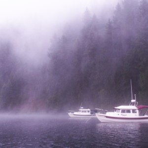 Halcyon and Voyager in Mist - Upper Priest Lake - 8-21-07