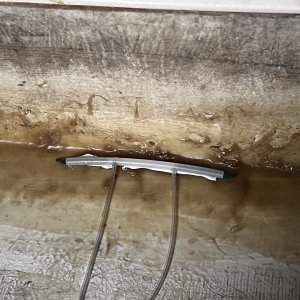 Bilge Sucker system