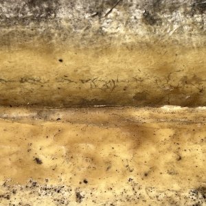 Bulkhead hull seam